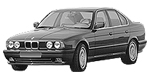 BMW E34 B3612 Fault Code